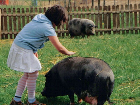 Krewelshof Erlebnis-Bauernhof in Lohmar, Foto 6