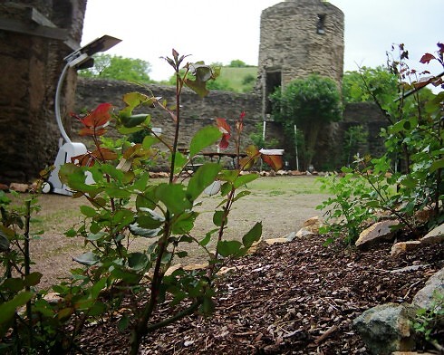 Restaurant Burg Schwalbach in Burgschwalbach, Foto 10