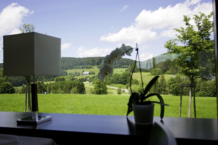 Parkhotel Flora in Schluchsee, Foto 8