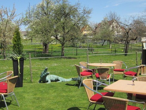 Die Linde in Herrenberg, Foto 26