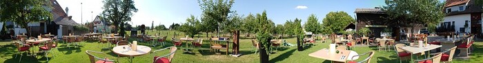 Die Linde in Herrenberg, Foto 12