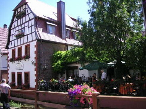 Restaurant Weinstube Zur Alten Gerberei in Annweiler am Trifels, Foto 4