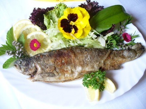 Aquamarin Fischrestaurant in Chorin, Foto 4