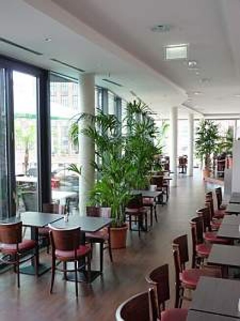 Restaurant Porto in Berlin, Foto 13
