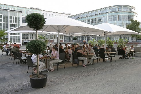Limone in Köln, Foto 3