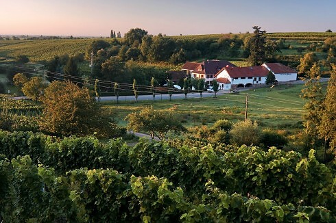 Restaurant Burrweiler Mühle in Burrweiler