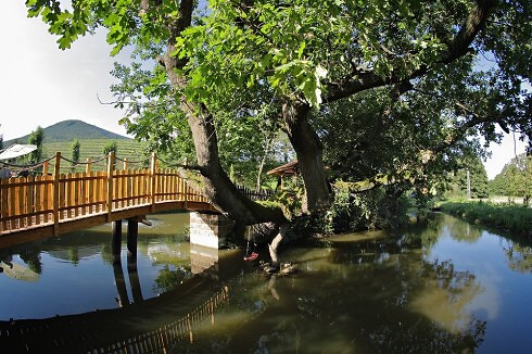 Burrweiler Mühle in Burrweiler, Foto 7