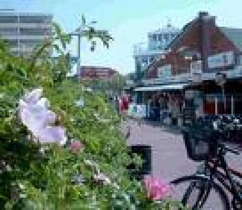  stilbruch  in Sankt Peter-Ording, Foto 3