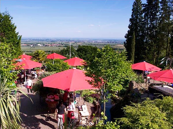 Restaurant Sankt Annagut  in Burrweiler, Foto 5