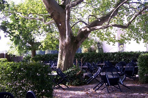 Mausefalle in Hamm, Foto 22