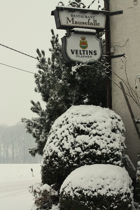 Mausefalle in Hamm, Foto 10