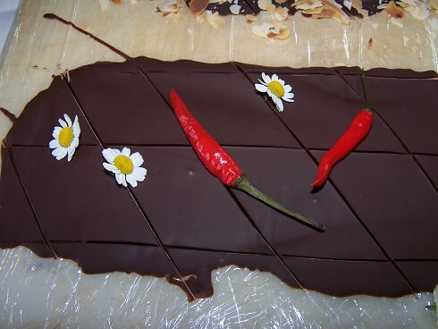 Mausefalle in Hamm, Foto 8