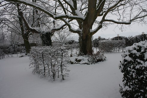 Mausefalle in Hamm, Foto 2