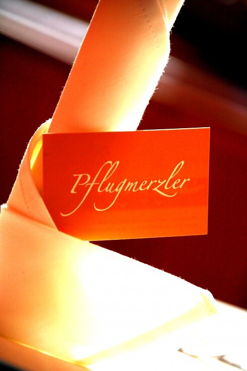 Pflugmerzler in Ulm, Foto 1