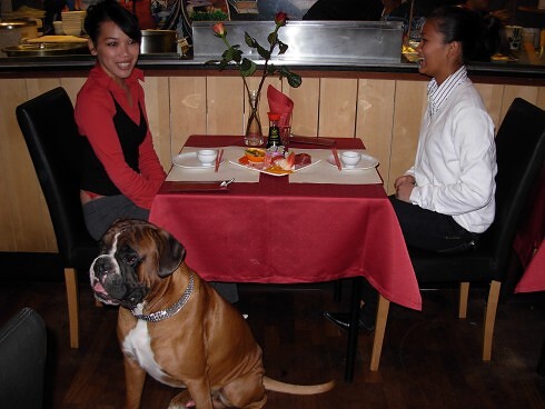 Sushi & Wok in Stuttgart, Foto 7