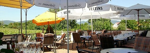 Landhaus Herrenberg in Landau in der Pfalz, Foto 4