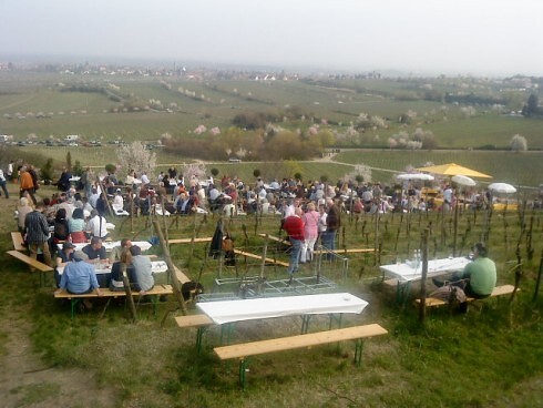 Kringelfritz in Wörth am Rhein, Foto 5