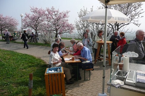 Kringelfritz in Wörth am Rhein, Foto 4