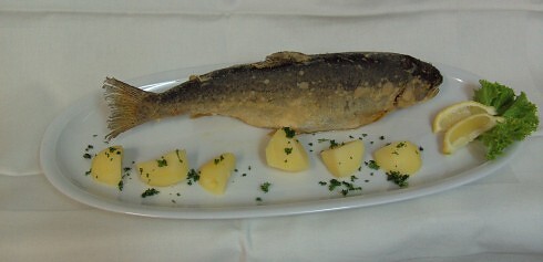 Schades Schmankerl Stubn in Selb, Foto 5