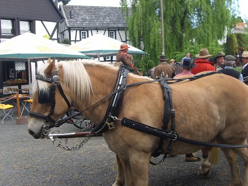 Gasthaus Susännchen in Hennef, Foto 20