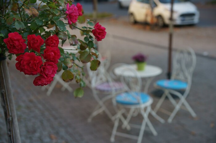 amore & gelati in Nürtingen, Foto 2