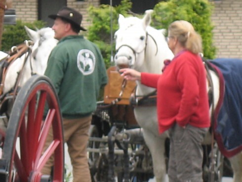 Gasthaus Susännchen in Hennef, Foto 2