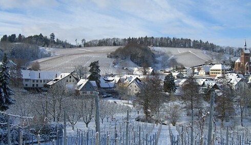 Faxe Schwarzwälder Hof in Kappelrodeck, Foto 13