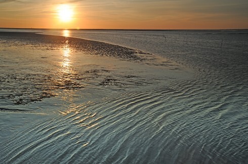 Büsumer Krabbenstube zur Barkasse  in Büsum, Foto 57