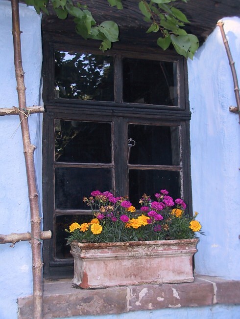 Weinstube zum Bundschuh  in Karlsruhe, Foto 10