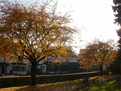 Landhotel Westerwald in Ehlscheid, Foto 9