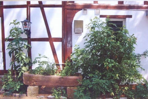 Restaurant Zur Sonne in Burghaun