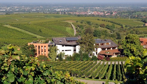Rebenhof in Baden-Baden, Foto 6