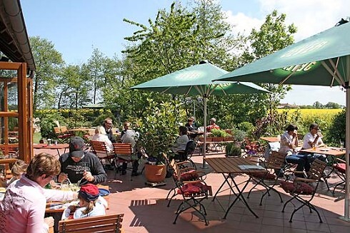 Pusteblume in Wangerland, Foto 3