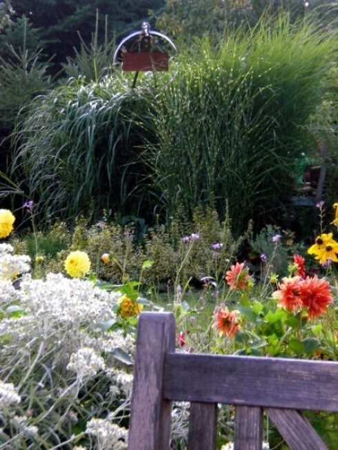 Gartencafé Flora in Nisterau, Foto 3