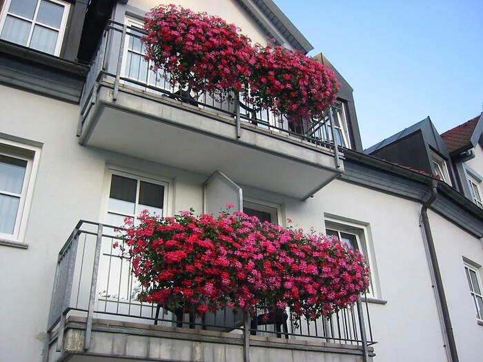 ***Hotel-Restaurant Heiligenstadter Hof in Heiligenstadt, Foto 6