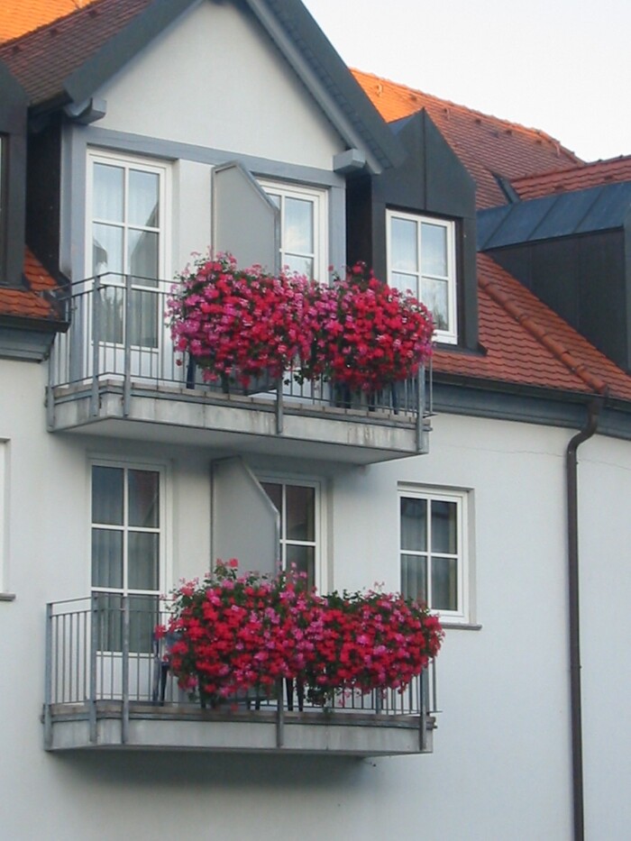 ***Hotel-Restaurant Heiligenstadter Hof in Heiligenstadt, Foto 5