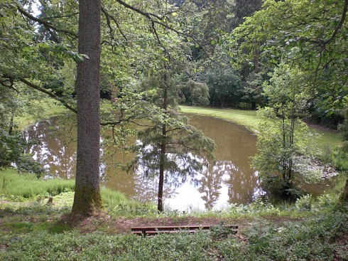Parkhotel Sülzhayn in Ellrich, Foto 4