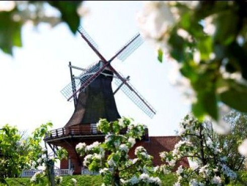 Restaurant Die Mühle Jork GmbH in Jork