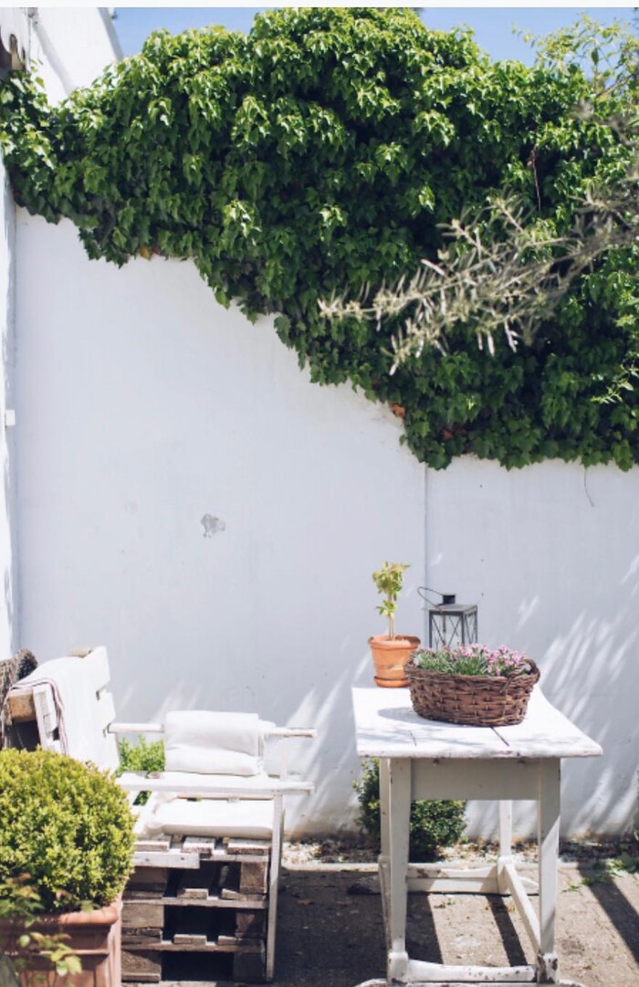 Sa Finca in Bonn, Foto 8