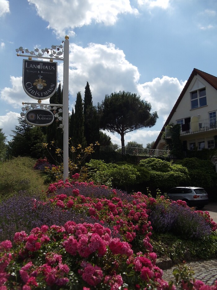 Landhaus Christmann & Gutsausschank Kabinett in Sankt Martin, Foto 7