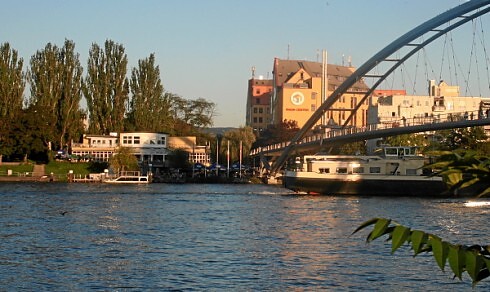 Chinarestaurant Rheinpark in Weil am Rhein, Foto 12