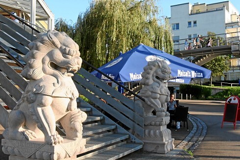 Chinarestaurant Rheinpark in Weil am Rhein, Foto 4