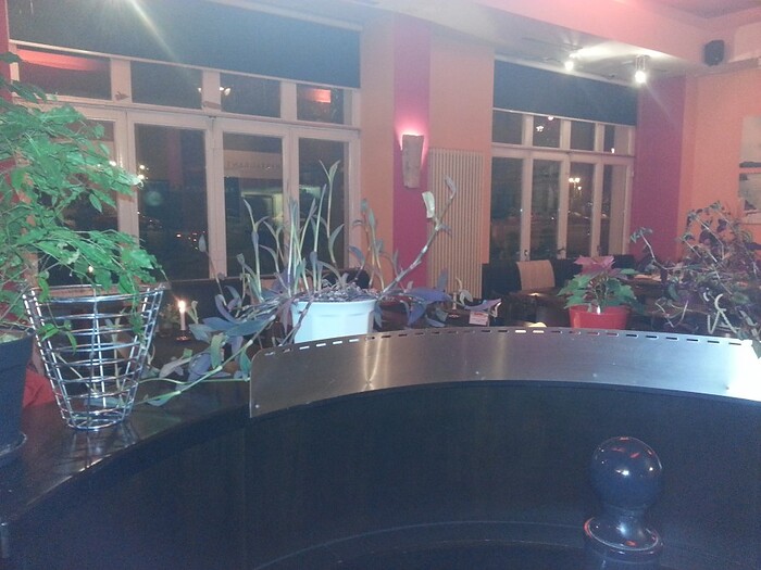 Cafe und Restaurant MUSES in Berlin