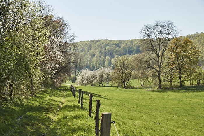 La Vallée Verte im Hotel Hohenhaus in Herleshausen, Foto 6