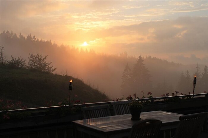 Berggasthaus Lachenhäusle in Titisee- Neustadt, Foto 4