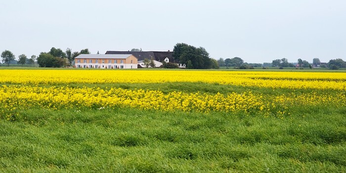 Pharisäerhof in Nordstrand, Foto 10
