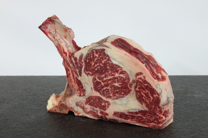 Toro Grosso GmbH in Magdeburg, Foto 4