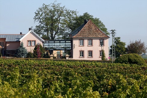 Ritterhof zur Rose in Burrweiler, Foto 5
