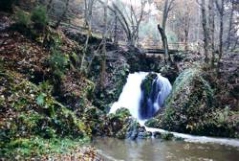 Waldhotel Kurfürst in Kaisersesch, Foto 5
