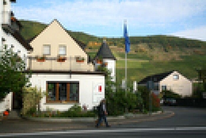 Gutshotel Galerie-Riesling in Trittenheim, Foto 2